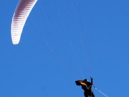 DSC0695809022024_x