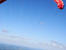 DSC0738209022024_x