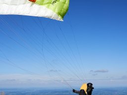 DSC0741709022024_x