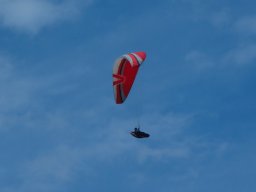 img_2802